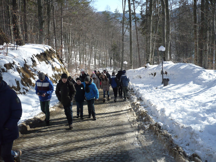 P1070716 - 2014 - 3-6 februarie -continuare