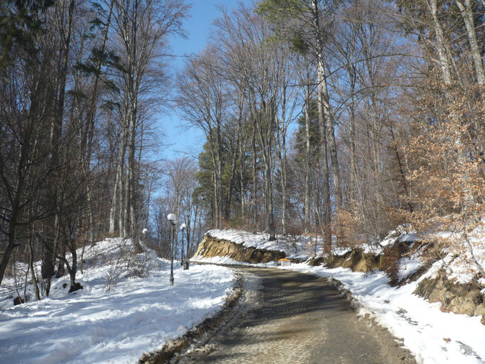 P1070718 - 2014 - 3-6 februarie -continuare