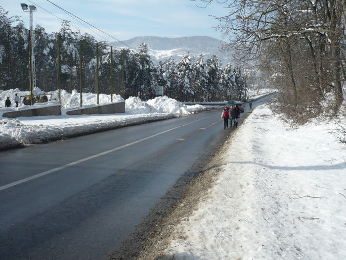 P1070862 - 2014 - 3-6 februarie -continuare