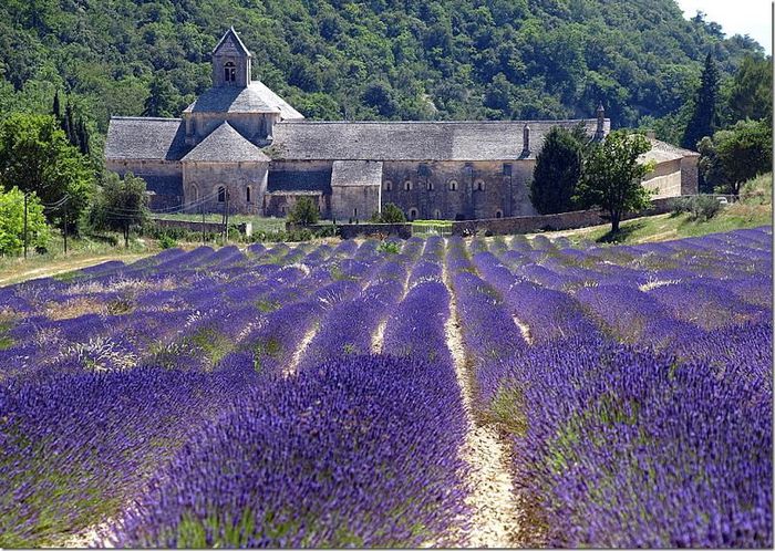 5867_784769798204056_610883834_n