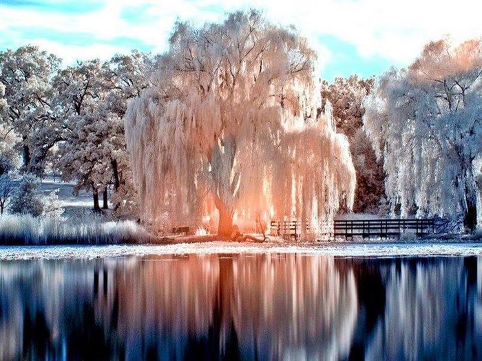 71530_795539630460406_1114172579_n