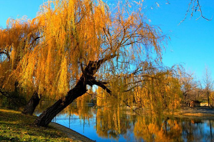 1265442_712184352130475_654945513_o - Locuri minunate