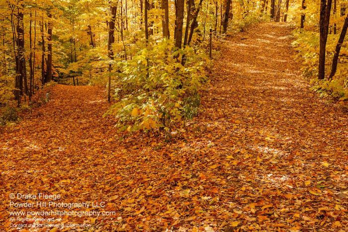 1273375_540624589340432_2002793834_o