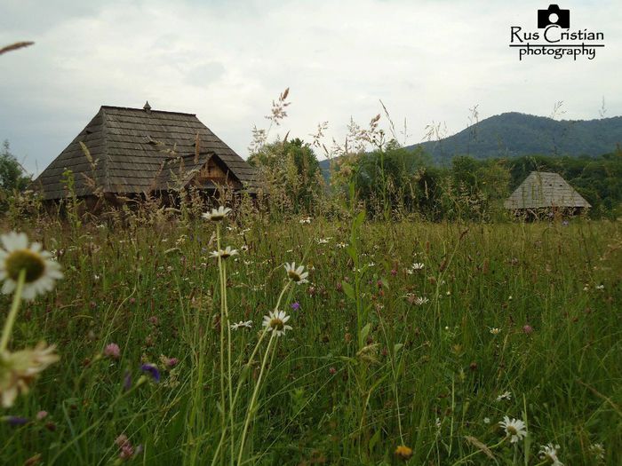 1275443_713230542025856_800644010_o