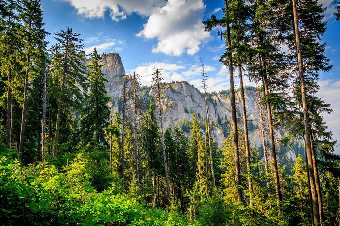 1277995_714850075197236_1813987782_o