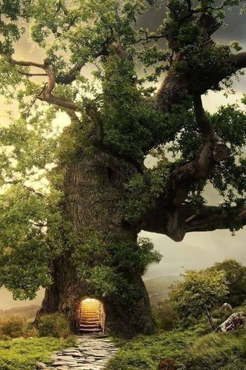 1377427_542727225796835_858178073_n