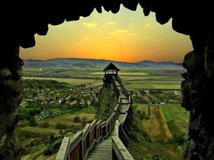 1379681_740639342617102_263411019_n