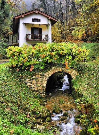 1384336_549558428447048_802203957_n