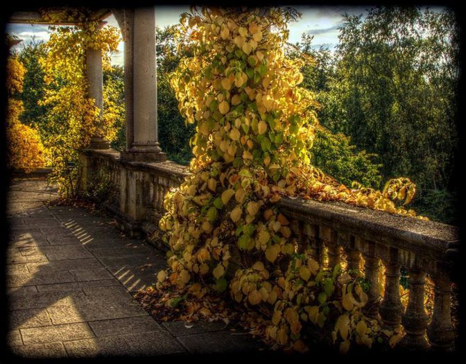 1385955_549343398468551_464562894_n