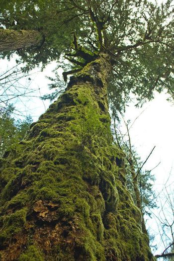 1394380_544283258974565_591551248_n