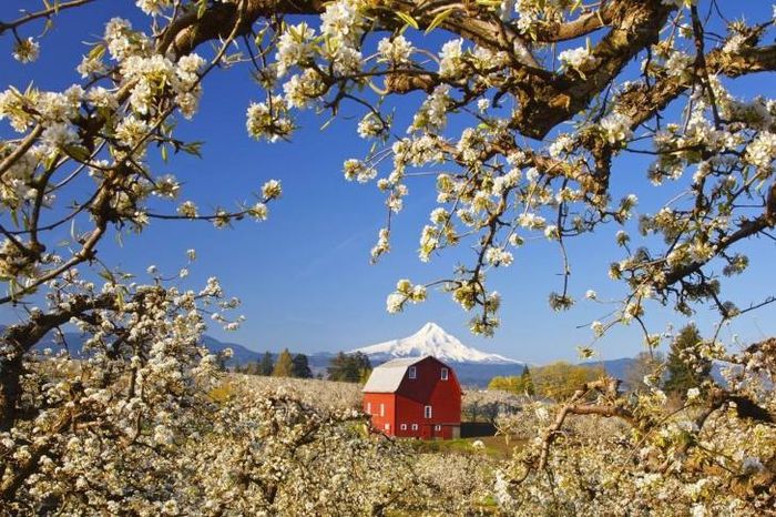 1395124_745880305426339_85511751_n