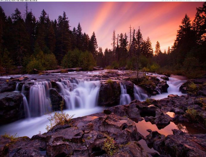 1397449_752798228067880_992966370_o