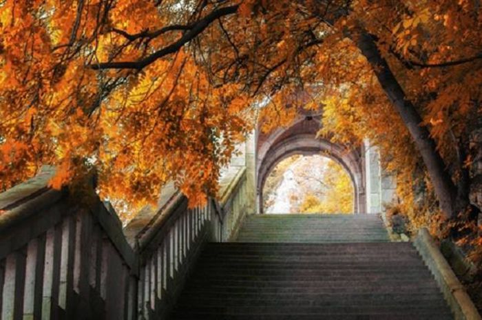 1451437_751247918222911_639112669_n