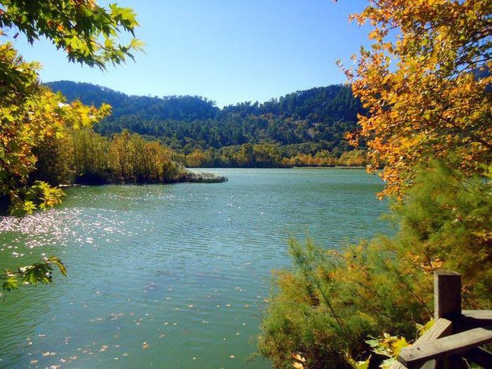 1455077_743668802314156_1531762135_n