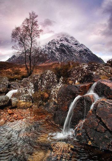 1456777_749264568421246_1367885837_n