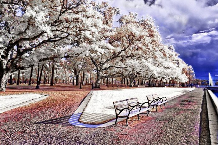 1622333_795524883795214_2039287788_o