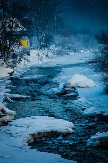 1779867_806155032733406_1822599186_n