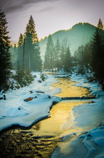 1796575_806155936066649_1712636060_n