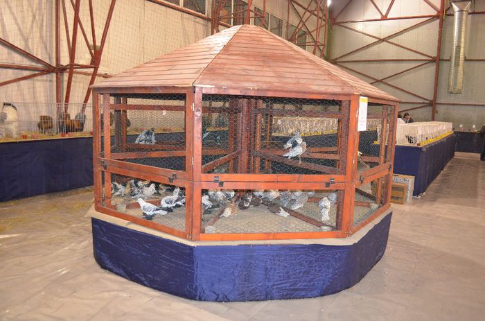 DSC_2462 - S- Expozitie Gherla 2014