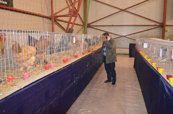 DSC_2482 - S- Expozitie Gherla 2014