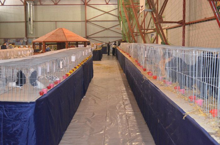 DSC_2489 - S- Expozitie Gherla 2014