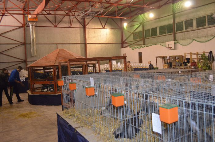 DSC_2570 - S- Expozitie Gherla 2014