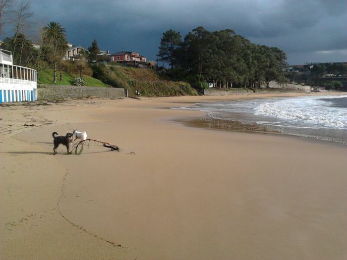 galicia 100 194 - Galicia100 km