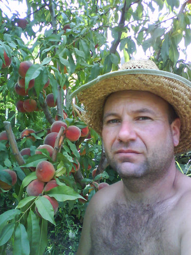 cite mai am de facut...