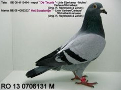 Reybroeck; xxxxxxxxxxxxxxxxxxx
