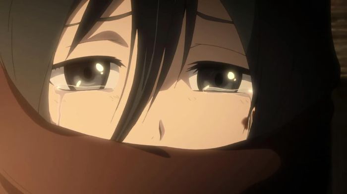 mikasa 24 - Anime Eyes