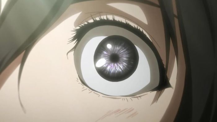 mikasa 32 - Anime Eyes