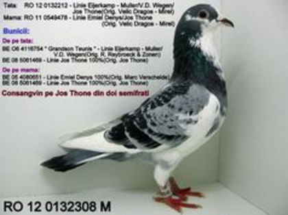 Emil Denis Jos Thone; xxxxxxxxxxxxxxxxxxxxx
