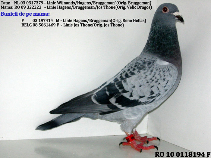 Wijnands Hagens; xxxxxx
