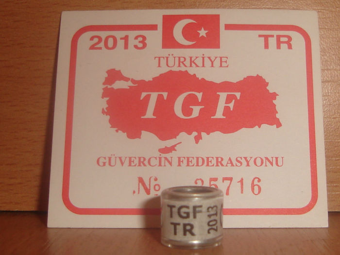 TR 2013 TGF.