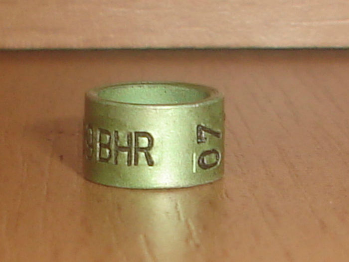 BHR 07