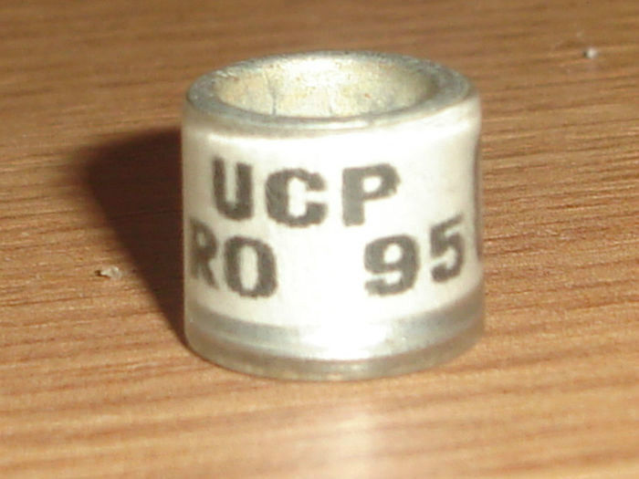 R0MANIA 1995 UCP