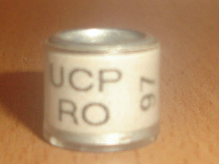 R0MANIA 1997 UCP - U C P R