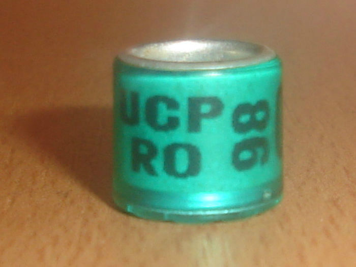 R0MANIA 1998 UCP.