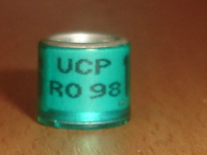 R0MANIA 1998 UCP