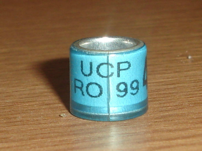 R0MANIA 1999 UCP - U C P R