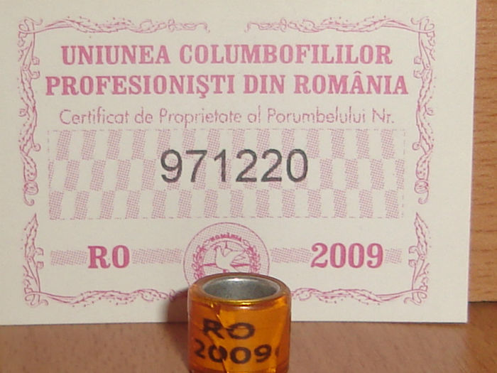 R0MANIA 2009 6 cifre