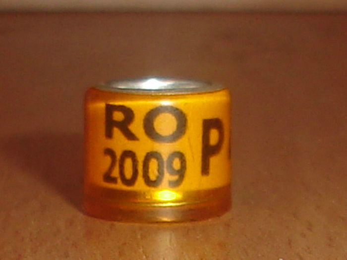 R0MANIA 2009 P