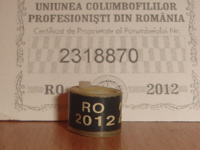 R0MANIA 20012. - U C P R