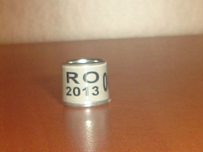 R0MANIA 20013,