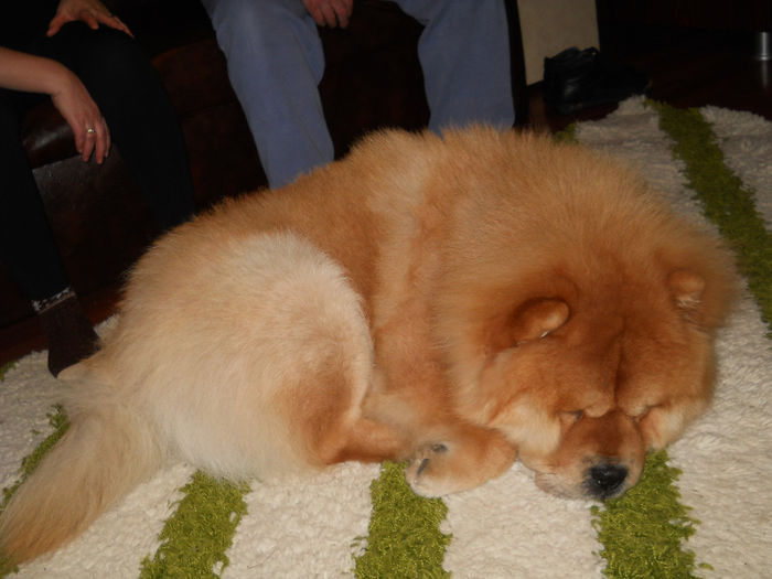 042 - odihneste-te-n pace