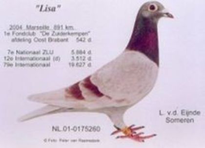 86303951_OJZSUYN