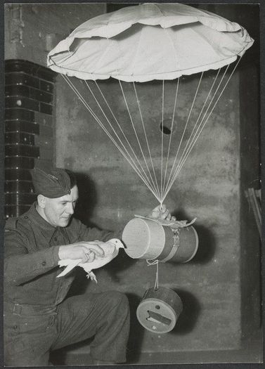 1798876_588643524538210_248772107_n