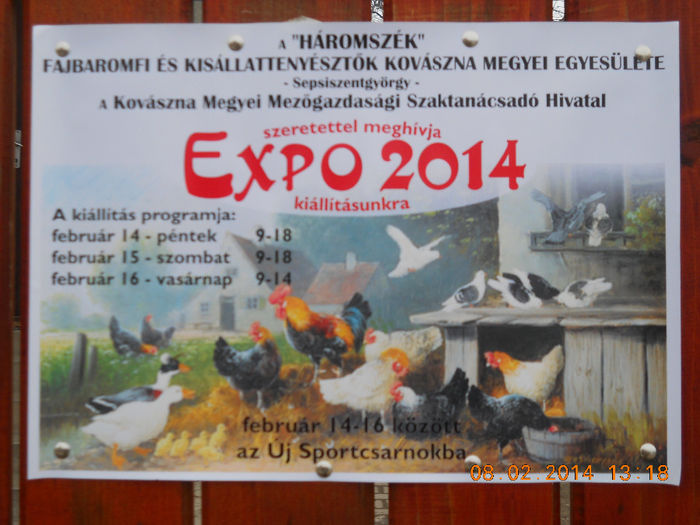 K - EXPO SFINTU GHEORGHE FEBRUARIE 2014