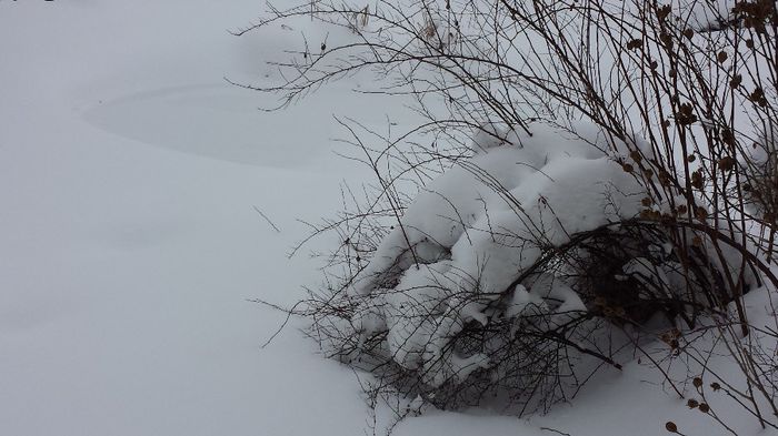 Iazul imbracat cu nea - Februarie alb si zapezit