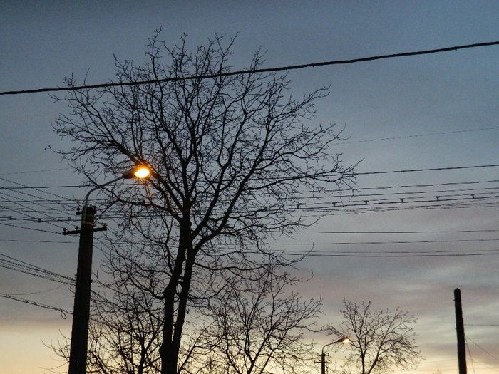 DSCN1763 - FEBRUARIE 2014